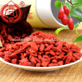 2017 nouvelles baies de goji en vrac organique gros goji baies dropshipping